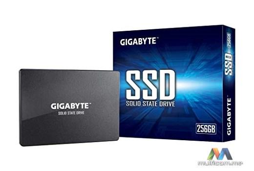 Gigabyte GP-GSTFS31256GTND SSD disk