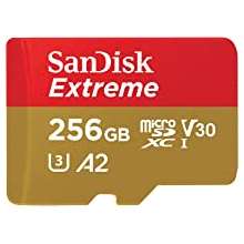SANDISK SDSQXAV-256G-GN6MA