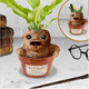 Paladone Mandrake Pen i Plant pot gaming figura