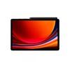 Samsung Galaxy Tab S9