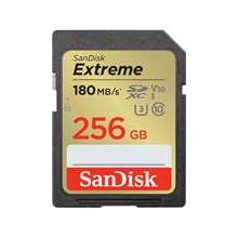 SANDISK SDSDXVV-256G-GNCIN