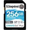 Kingston SDG3/256GB