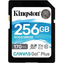 Kingston SDG3/256GB