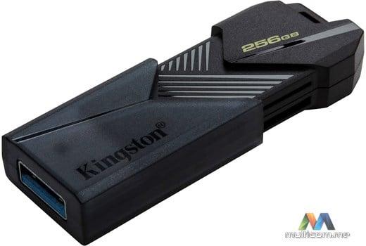 Kingston DTXON/256GB