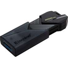 Kingston DTXON/256GB