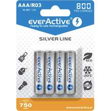 everActive EVHRL03-800