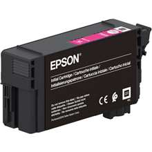 EPSON C13T40C34N