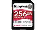 Kingston SDR2V6/256GB