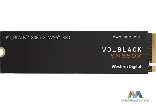 Western Digital WDS100T2X0E SSD disk