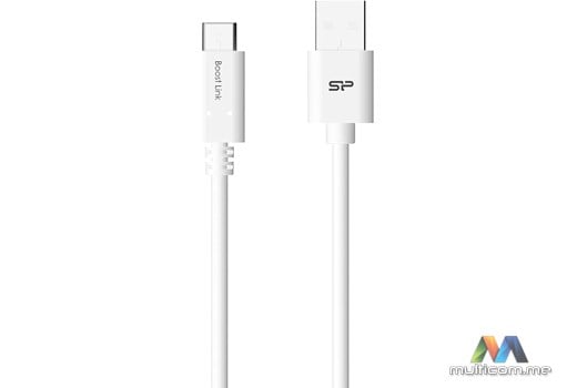 Silicon Power SP1M0ASYLK10AC1W