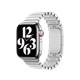 Apple Watch 38mm Band: Link Bracelet