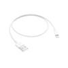Apple Lightning / USB (0.5 m)