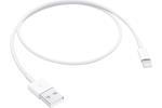 Apple Lightning / USB (0.5 m)