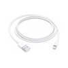 Apple Lightning / USB (1 m)