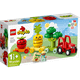 LEGO DUPLO Fruit and Vegetable Tractor (10982)