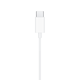 Apple EarPods (USB-C)