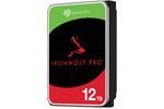 Seagate ST12000NT001
