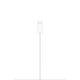 Apple MagSafe Charger (1m)