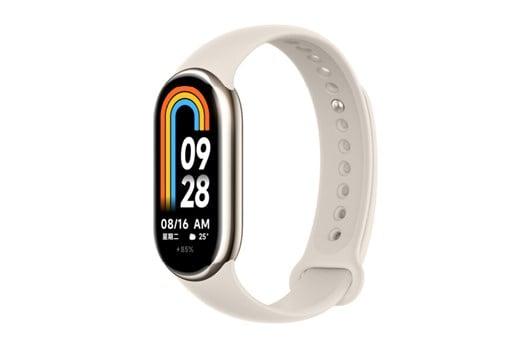 Xiaomi Smart Band 9 (Titan Gray) Smartwatch