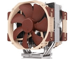 Noctua