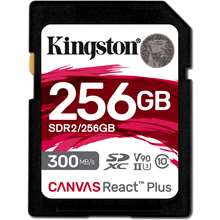 Kingston SDR2/256GB