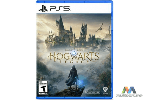 WARNER BROS PS5 Hogwarts Legacy igrica