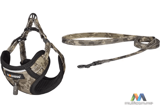 Dogness povodac i pojas set