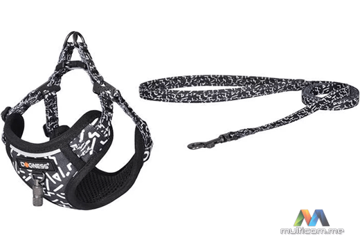 Dogness povodac i pojas set