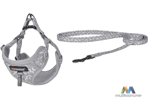 Dogness povodac i pojas set (siva)