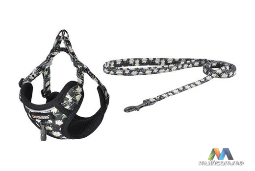 Dogness povodac i pojas set (Multicolor)