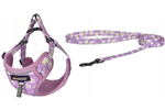 Dogness povodac i pojas set (Roza)