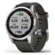 Garmin Fenix 7S Stainless Steel Graphite