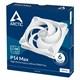 ARCTIC P14 Max White kuler