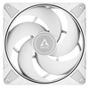 ARCTIC P14 Max White kuler