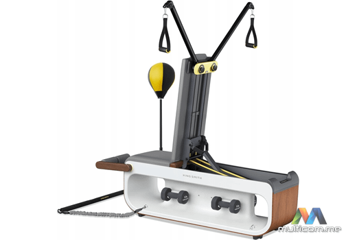 Kingsmith Tone Up Workout Station Gladijator