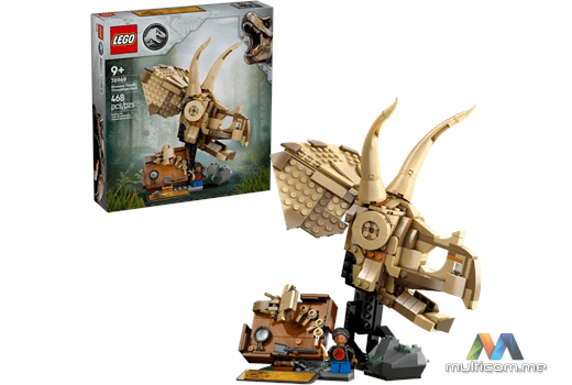 LEGO 76969 kockice