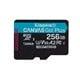 Kingston Canvas Go Plus 256GB microSD