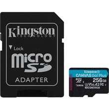 Kingston SDCG4/256GB