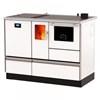 Alfa Plam Term 20 Pelet