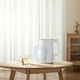 Xiaomi Electric Kettle 2 Lite Kuvalo za vodu