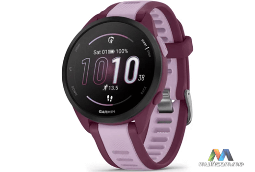 Garmin 010-02863-33 Smartwatch