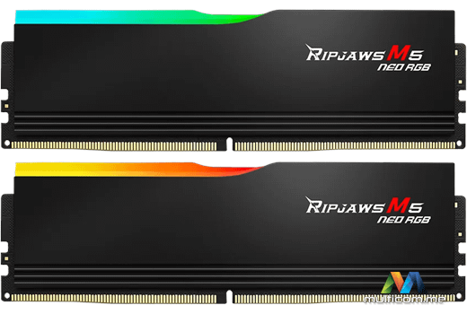 G.Skill F5-6000J3036F48GX2-RM5NRK memorija