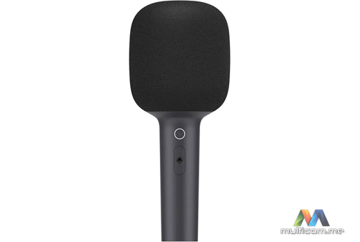 Xiaomi Karaoke Microphone