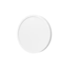 Xiaomi Smart Ceiling Light D20