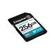 Kingston Canvas Go Plus 256 GB memorijska kartica