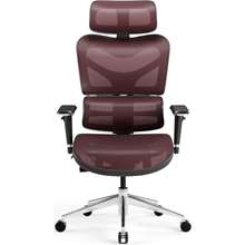 DIABLO V-COMMANDER (Black and Burgundy)