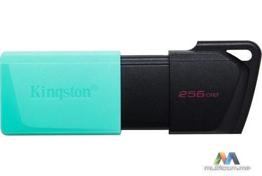 Kingston DTXM/256GB