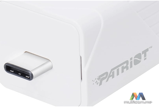 Patriot PI256GCUW30C