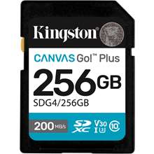 Kingston SDG4/256GB