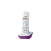 Panasonic KX-TG1611 FXF